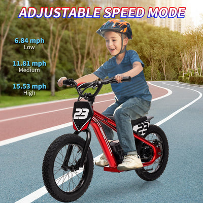 Garvee Ride - G Series: 250W Motor 3-Speed 24V Detachable Battery Aluminum Frame 16IN Off-Road Tires Ages 6-12 Outdoor Riding
